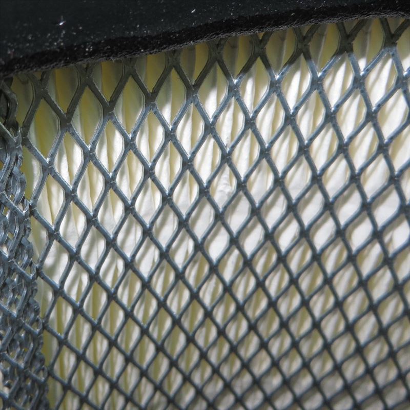 FLEETGUARD Luftfilter AF25333