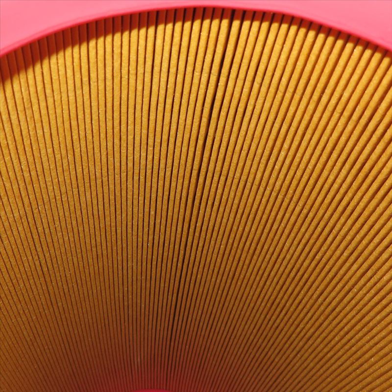 Luftfilter AF25723