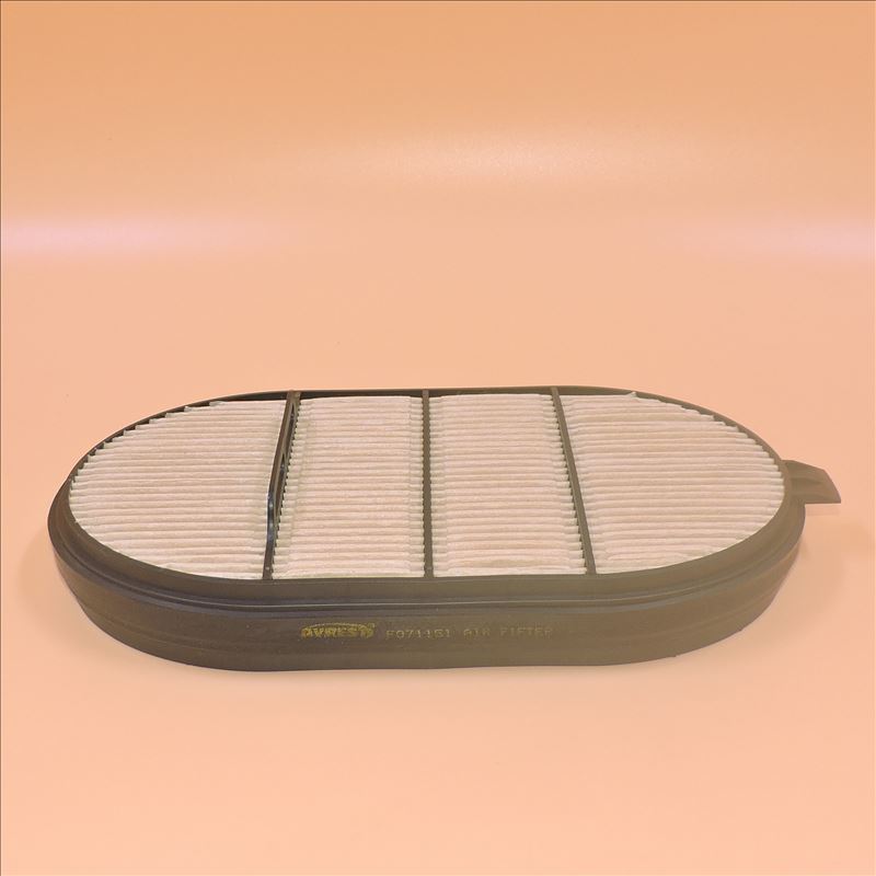 Luftfilter F071151