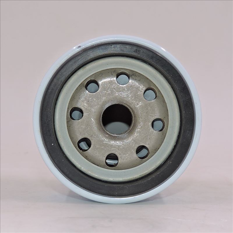Kraftstofffilter LKCQ1A-100E