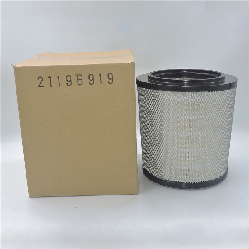 Luftfilter 21196919