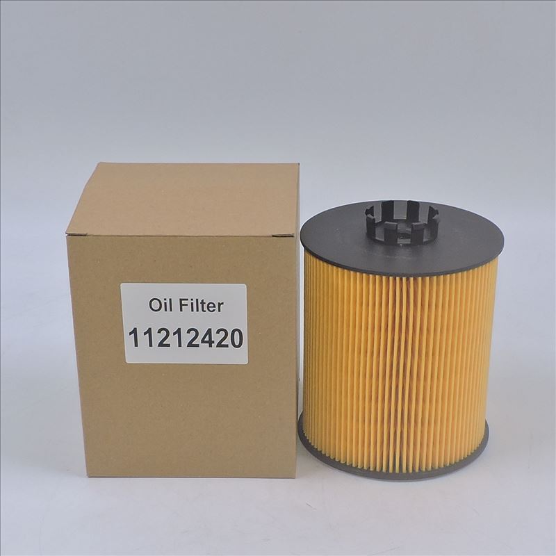 Ölfilter 11212420 P550938