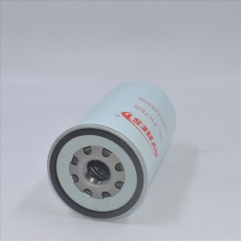Ölfilter 1000428206 R010077