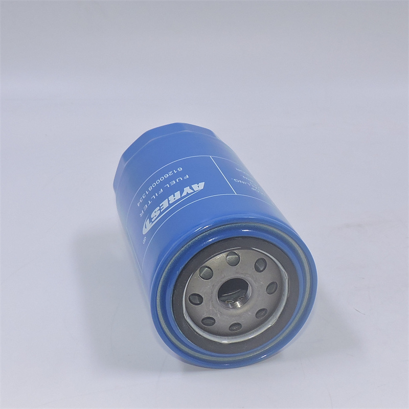 Weichai 1000442956 Für WD 10G220E21