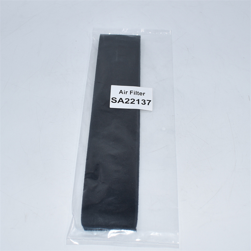 Luftfilter SA22137 2408305
