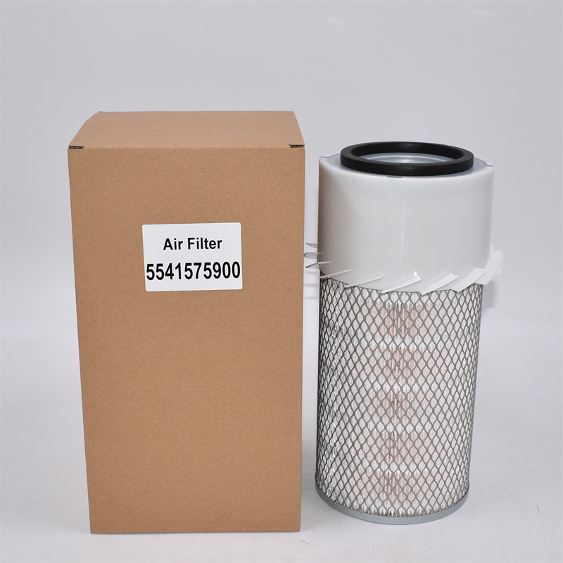 Luftfilter 5541575900 P181052