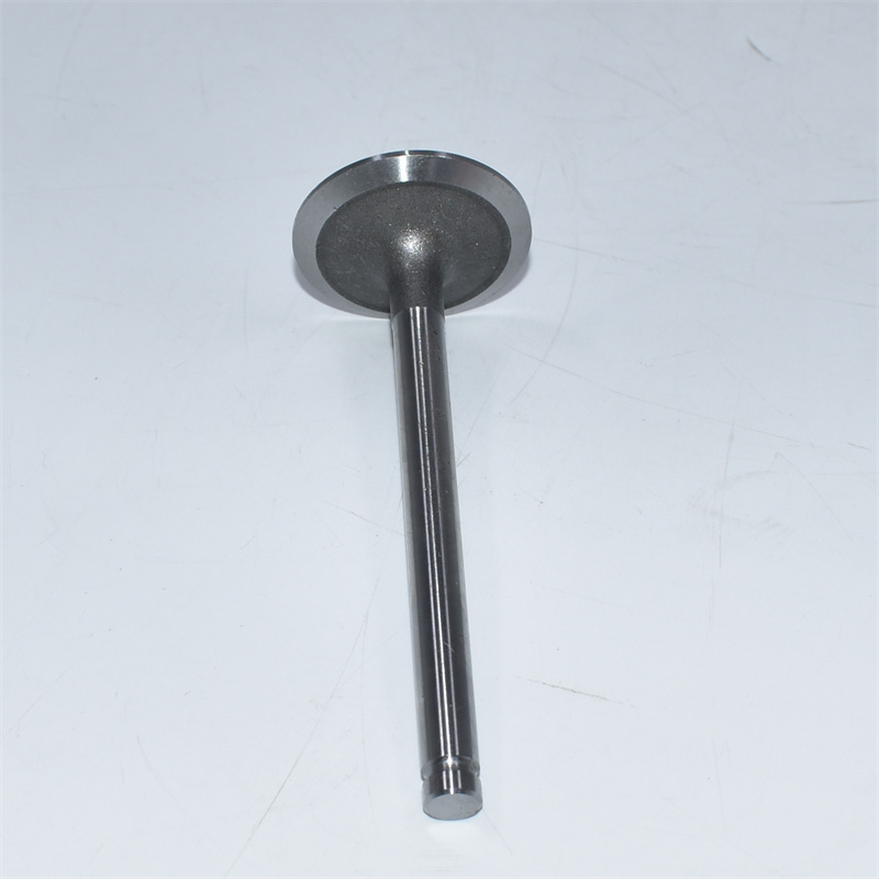 Perkins 3142L072 für Motoren