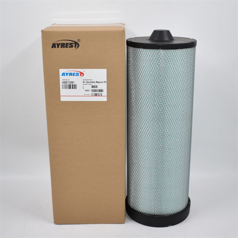 HXE11091 Luftfilter P618690