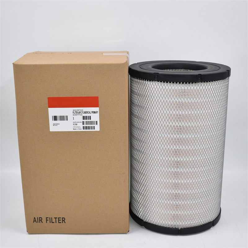 P619046 Luftfilter RS30130
