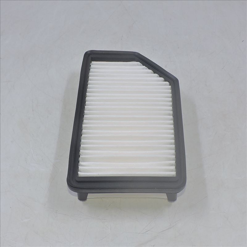Luftfilter 28113-1R100