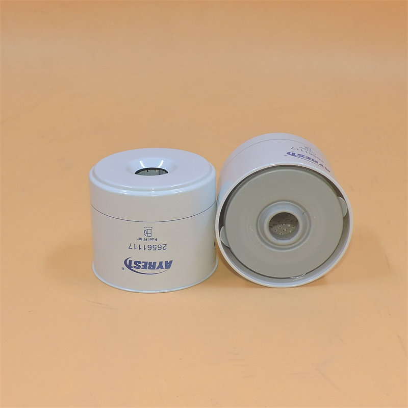 Kraftstofffilter 9807000800 9806000800 2709000550