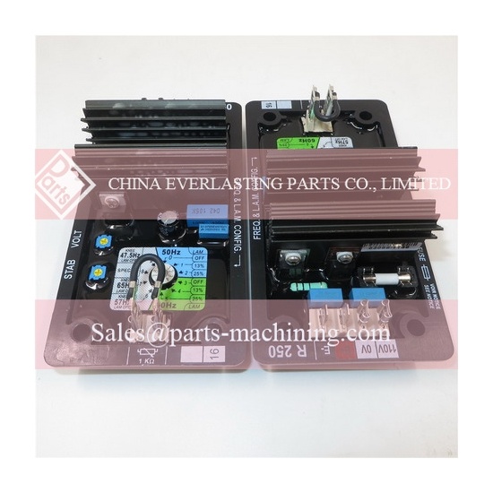 Original Leroy Somer AVR R250