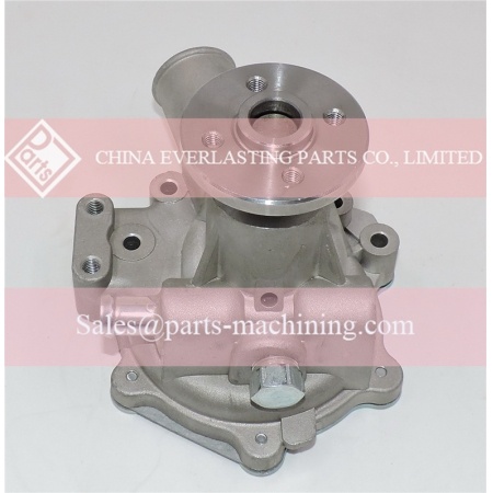 U45010062 Perkins Wasserpumpe 404D Motor