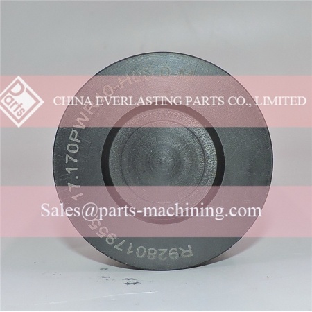 Bosch Rexroth R928017955 Ersatz-Hydraulikfilter
