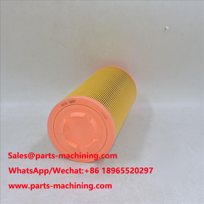 Luftfilter 01319257 1319257 P778989 SA 17100 46836
