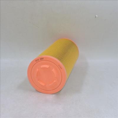 Luftfilter 01319257 1319257 P778989 SA 17100 46836
