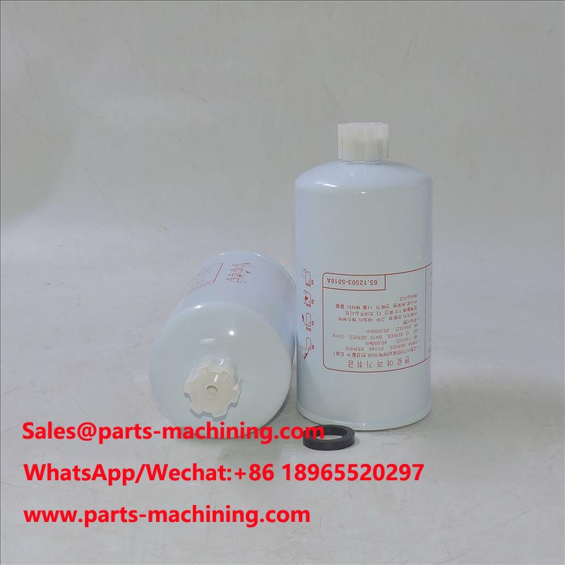 Kraftstofffilter 65.12503-5018A SN 1212 P558000 FS1214
