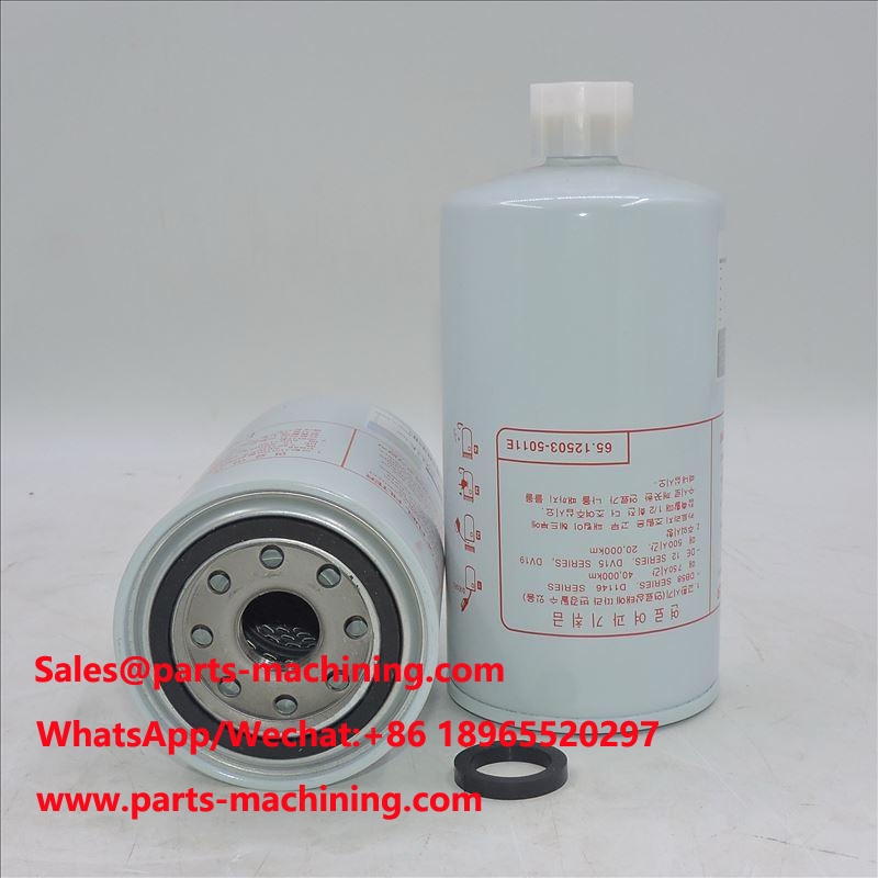 Kraftstofffilter 65.12503-5011E P558000 SN 1212 FS1212
