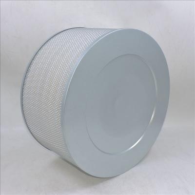 Luftfilter P181126 A-5531 PA2653 AF4609
