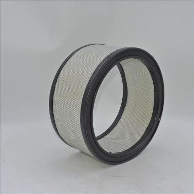 GMC 1500 Luftfilter P524369 PA2091 AF1762
