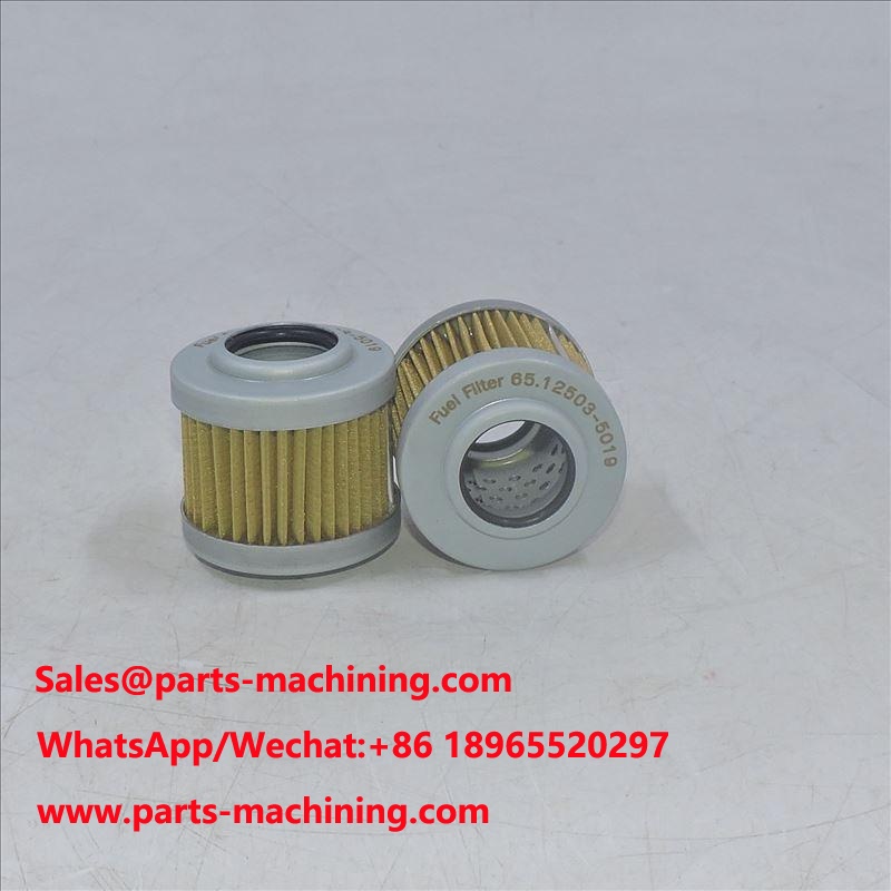 Kraftstofffilter für Doosan-Motoren 65.12503-5019 65125035019 6512503-5019 65.125035019
