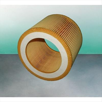 Luftfilter C1140 SA17224 P784578