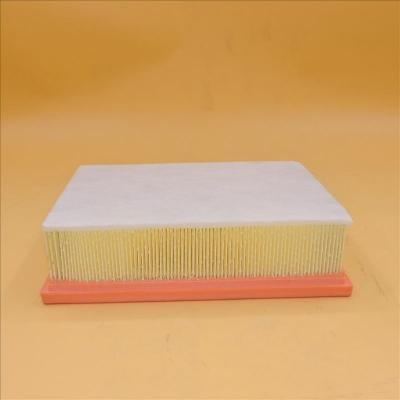 Luftfilter PA7597 PA2231 46302