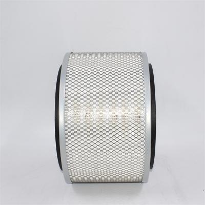 Luftfilter AF25758M P181030 PA2599 46281