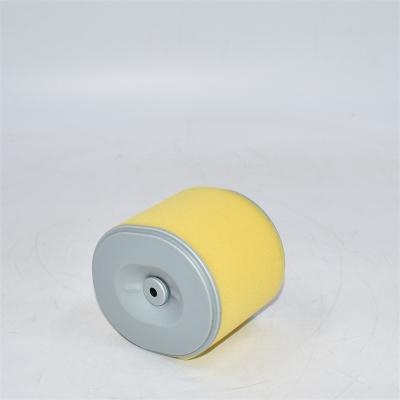 AF25474 Luftfilter P607254 PA3957 17210ZE3000 5748378 Querverweis