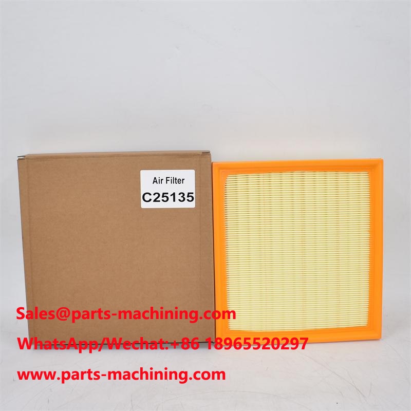 C25135 Air Filter