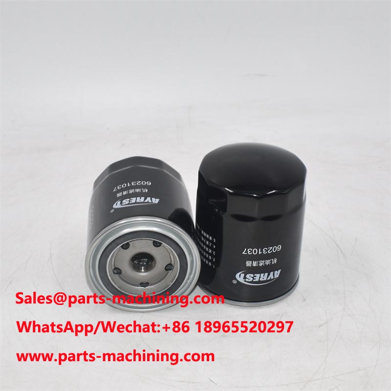 60231037 Ölfilter ersetzt P550020 AR58956