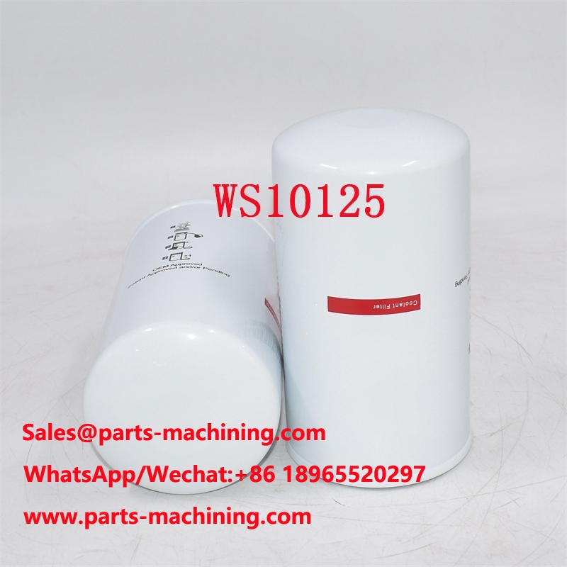 WS10125 Kühlmittelfilter WE2091 Austausch
