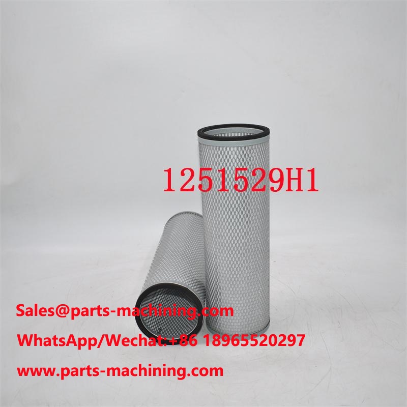 1251529H1 Luftfilter 42648 Querverweis