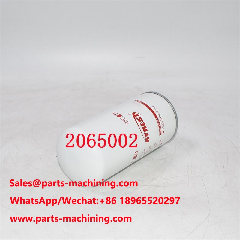 2065002 Kraftstofffilter 2002041593 Ersatz
