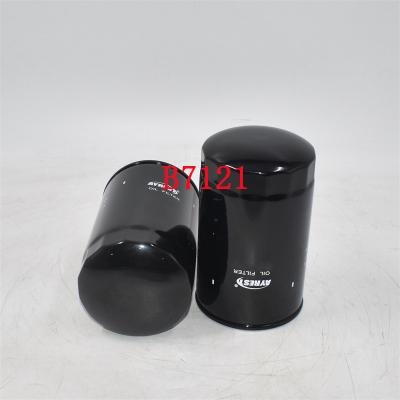B7121 Ölfilter C-5808 Kundenspezifisch