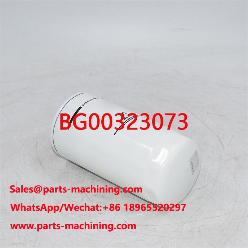 BG00323073 Kraftstofffilter ersetzen