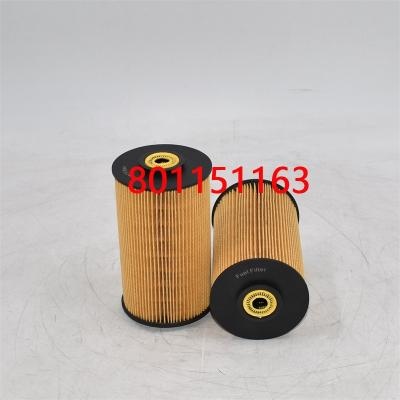 801151163 Kraftstofffilter 3I-1212 für Bus