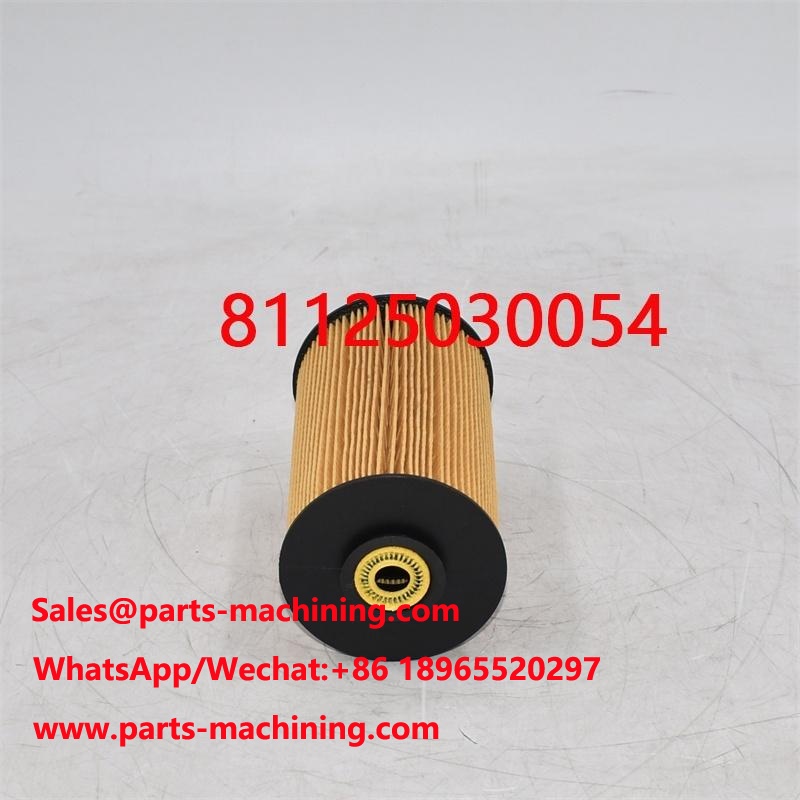 Kraftstofffilter 81125030054 81125030018