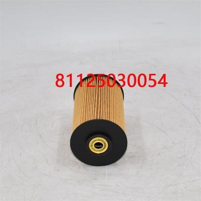 Kraftstofffilter 81125030054 81125030018