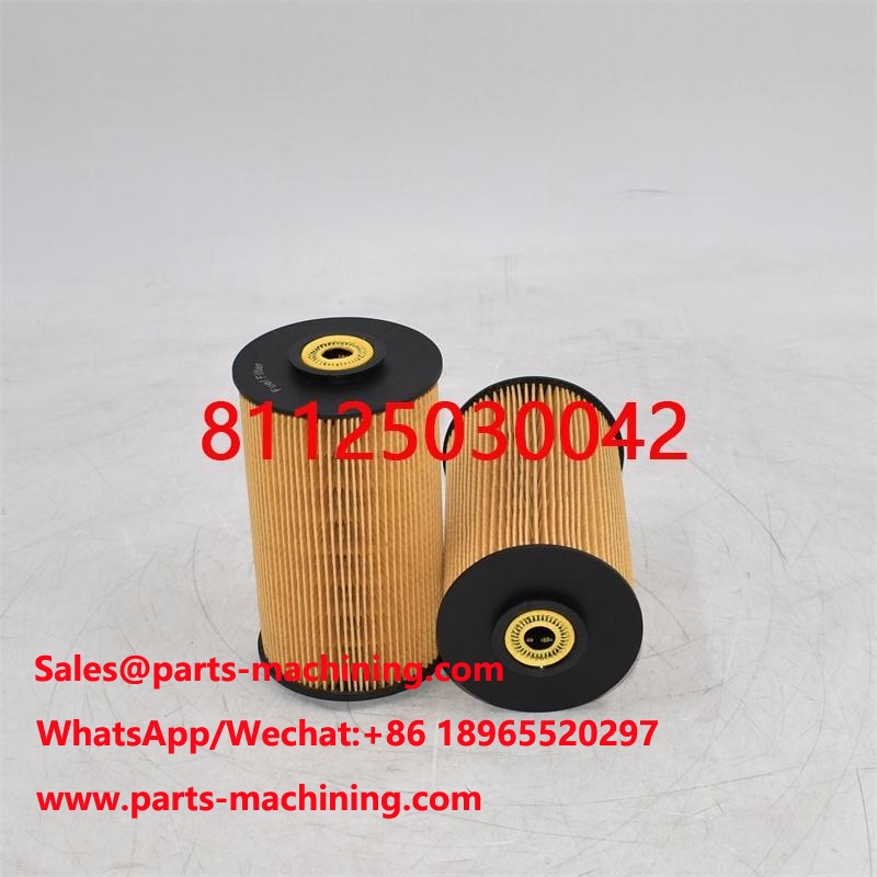 LKW-Teile Kraftstofffilter 81125030042 81125030022