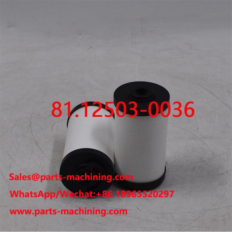 LKW-Kraftstofffilter 81.12503-0036 81.12503-0040