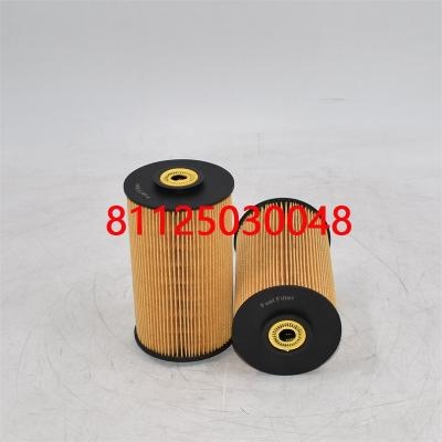 Hochwertiger Kraftstofffilter 81125030048 81125030021