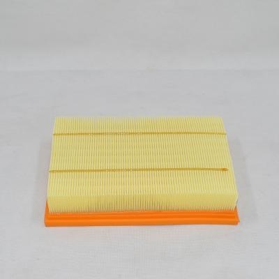 30016808 Luftfilter-Dieselmotorteile