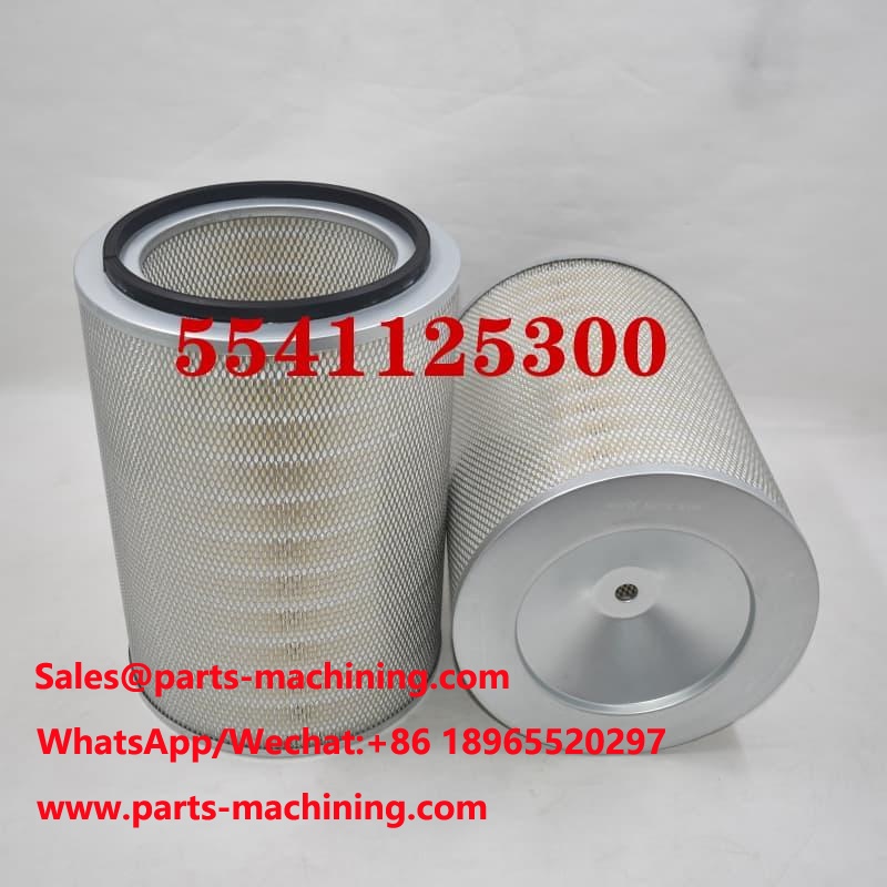 5541125300 Luftfilter OEM ODM