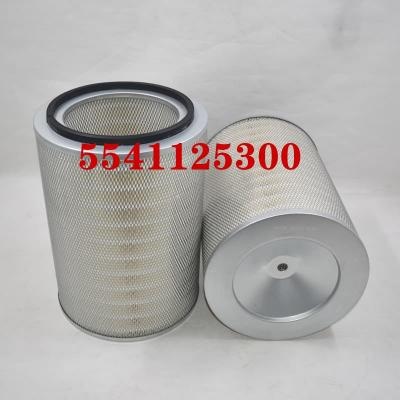 5541125300 Luftfilter OEM ODM